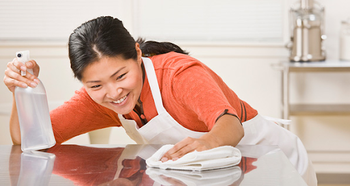 Understanding Singapore Maid Agencies: A Vital Resource for Households